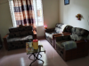 Luxurious shofa set